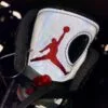 Alternative view of AJ5 black wings