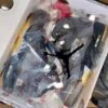 Buy AJ5 Black Wings